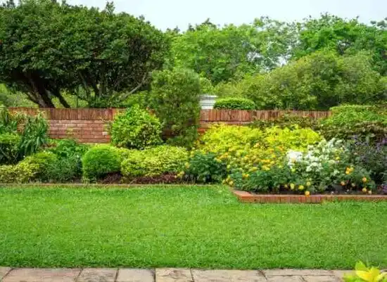 landscaping services Mountain Lake Park